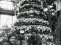 Festival of Lights (7)