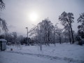 NFW_1846