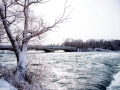 NFW_1859