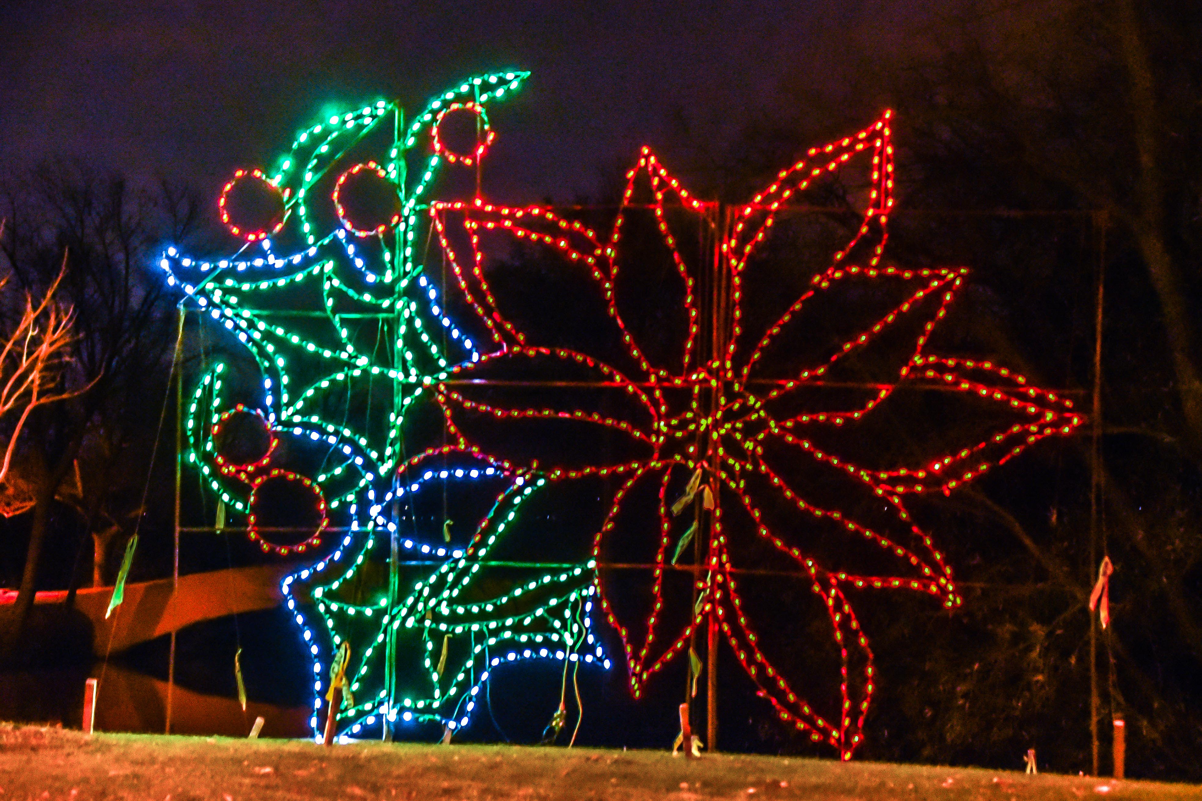 Niagara Falls Christmas Lights