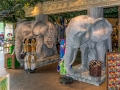 Rainforest Cafe (1)