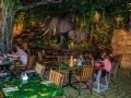 Rainforest Cafe (12)