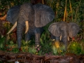 Rainforest Cafe (14)