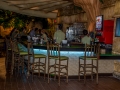 Rainforest Cafe (16)