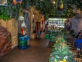 Rainforest Cafe (18)