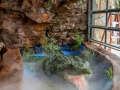 Rainforest Cafe (4)