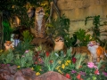 Rainforest Cafe (6)