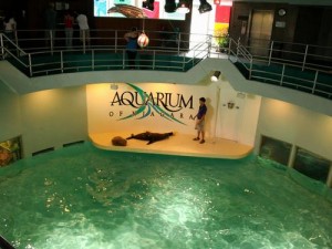 Aquarium of Niagara Falls