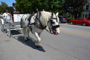 Niagara on the Lake